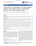 Báo cáo sinh học: Combination of cyclosporine and erythropoietin improves brain infarct size and neurological function in rats after ischemic stroke