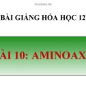 Bài giảng Hóa học 12 bài 10: Amino axit