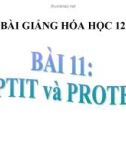 Bài giảng Hóa học 12 bài 11: Peptit và protein