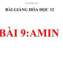 Bài giảng Hóa học 12 bài 9: Amin