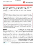 Báo cáo y học: Phylogenetic history demonstrates two different lineages of dengue type 1 virus in Colombia