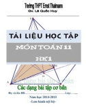 Tài liệu học tập môn Toán lớp 11: Các dạng bài tập cơ bản (Học kỳ 1)