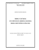 Luận án Tiến sĩ Dinh dưỡng và thức ăn chăn nuôi: Trồng và sử dụng cây chùm ngây (moringa oleifera) trong chăn nuôi gà lông màu