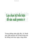 Lựa chọn hệ biểu hiện để sản xuất protein ở vi khuẩn