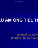 Bài giảng: Siêu âm ống tiêu hóa (Bs Nguyễn Thị Xuân Mai)