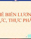 Bài giảng Công nghệ 10 bài 44: Chế biến lương thực thực phẩm