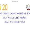 Bài giảng Công nghệ 10 bài 20: Ứng dụng công nghệ vi sinh sản xuất chế phẩm bảo vệ thực vật