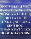 Bài giảng Công nghệ 10 bài 38: Ứng dụng công nghệ sinh học trong sản xuất vác xin và thuốc kháng sinh