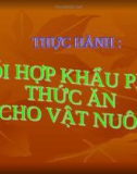 Bài giảng Công nghệ 10 bài 30: Thực hành - Phối hợp khẩu phần ăn cho vật nuôi