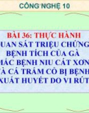 Bài giảng Công nghệ 10 bài 36: Thực hành - Quan sát triệu chứng, bệnh tích của gà bị mắc bệnh Niu cát xơn (Newcastle) và cá trắm cỏ bị bệnh xuất huyết do vi rút