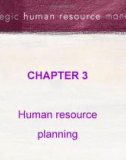 Lesson about Strategic Human Resourse Management - Chap 03