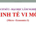 Bài giảng Kinh tế vi mô I (Micro-economics I) - Chương 1: Những vấn đề cơ bản về kinh tế học