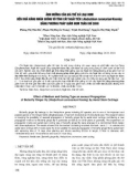 Ảnh hưởng của giá thể và loại hom đến khả năng nhân giống vô tính cây ngải tiên (Hedychium coronarium koenig) bằng phương pháp giâm hom thân khí sinh