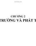 Bài giảng Kinh tế môi trường: Chương 2 - Nguyễn Ngọc Lan