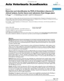 Báo cáo khoa học: Detection and identification by PCR of Clostridium chauvoei in clinical isolates, bovine faeces and substrates from biogas plant