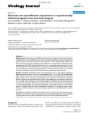 Báo cáo khoa học: Detection and quantification of pestivirus in experimentally infected pregnant ewes and their progeny