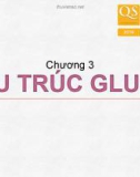 Bài giảng Hóa sinh – Chương 3: Cấu trúc glucid