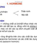 Bài giảng Hóa sinh động vật - Hormone