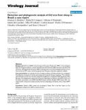 Báo cáo khoa học: Detection and phylogenetic analysis of Orf virus from sheep in Brazil: a case report