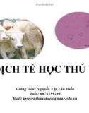 Bài giảng Dịch tễ học thú y: Chương 1 - Nguyễn Thị Thu Hiền