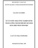 Luận văn Thạc sĩ Sinh học: Xử lý nước thải công nghiệp kênh Tham Lương thành phố Hồ Chí Minh bằng biện pháp sinh học