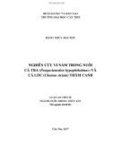 Luận án tiến sĩ Thủy sản: Nghiên cứu vi nấm trong nuôi cá tra (pangasianodon hypophthalmus) và cá lóc (channa striata) thâm canh