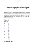 Nhóm nguyên tố Halogen