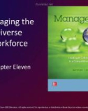 Lecture Management: Leading and collaborating in a competitive world - Chapter 11: Managing the diverse workforce