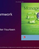 Lecture Management: Leading and collaborating in a competitive world - Chapter 14: Teamwork