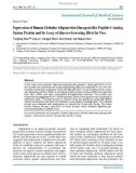 Báo cáo y học: Expression of Human Globular Adiponectin-Glucagon-Like Peptide-1 Analog Fusion Protein and Its Assay of Glucose-Lowering Effect In Vivo