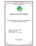 Luận văn : ĐỊNH DANH NẤM Trichoderma DỰA VÀO TRÌNH TỰ VÙNG ITS – rDNA VÀ VÙNG TEF part 1