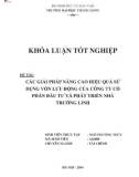 Khóa luận tốt nghiệp chuyên ngành Tài chính: Các giải pháp nâng cao hiệu quả sử dụng vốn lưu động của Công ty Cổ phần Đầu tư và Phát triển Nhà Trường Linh