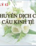 Bài giảng Địa lý 12 bài 20: Chuyển dịch cơ cấu kinh tế