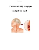 Cholesterol: Một thủ phạm của bệnh tim mạch