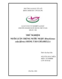 Luận văn nuôi trồng thủy sản: Thử nghiệm nuôi luân trùng nước ngọt (brachionus calyciflorus) bằng tảo chlorella