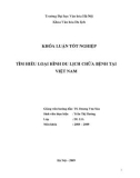 Tóm tắt Khoá luận tốt nghiệp khoa Văn hóa du lịch: Tìm hiểu loại hình du lịch chữa bệnh tại Việt Nam