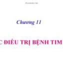 Bài giảng Chương 11: Thuốc điều trị bệnh tim mạh