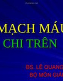 Mạch máu chi trên (Giải phẫu học)