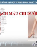 Bài giảng Mạch máu chi dưới - ĐH Y khoa Phạm Ngọc Thạch TP.HCM