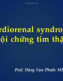 Bài giảng Cardiorenal syndrome: Hội chứng tim thận