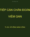 Bài giảng Tiếp cận chẩn đoán viêm gan - TS. BS. Võ Hồng Minh Công