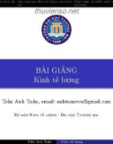 Bài giảng Kinh tế lượng: Chương 8 - Trần Anh Tuấn