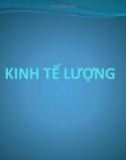 Bài giảng Kinh tế lượng - Chương 1: Mô hình hồi quy tuyến tính hai biến