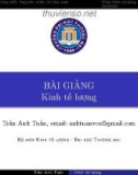 Bài giảng Kinh tế lượng: Chương 5 - Trần Anh Tuấn