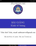 Bài giảng Kinh tế lượng: Chương 4 - Trần Anh Tuấn