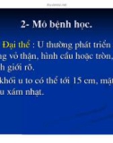 Giải phẫu bênh - Ung thư phổi và ung thư thận part 8