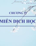 Bài giảng Sinh học đại cương - Chương 21: Miễn dịch học