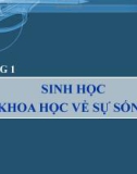 Bài giảng Sinh học đại cương - Chương 1: Sinh học khoa học về sự sống