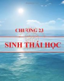 Bài giảng Sinh học đại cương - Chương 23: Sinh thái học