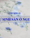 Bài giảng Sinh học đại cương - Chương 22: Sự sinh sản ở người